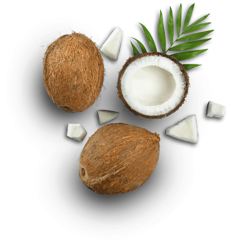 coconut