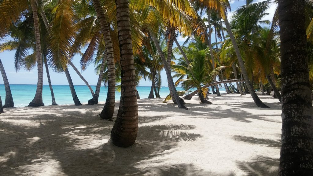 Saona private VIP 