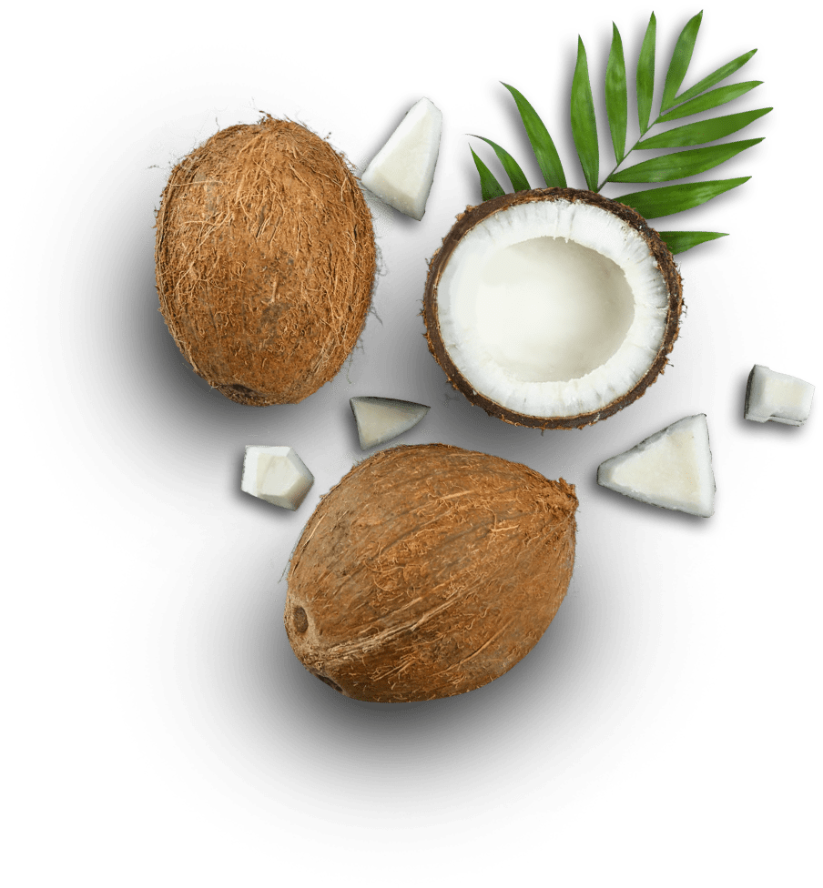 coconut